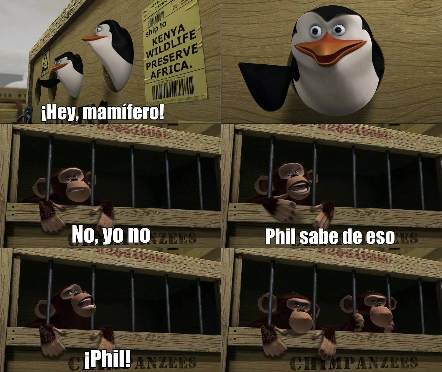 Plantilla de Hey, mamifero! | ... | No, yo no | Phil sabe de eso | ¡Phil!