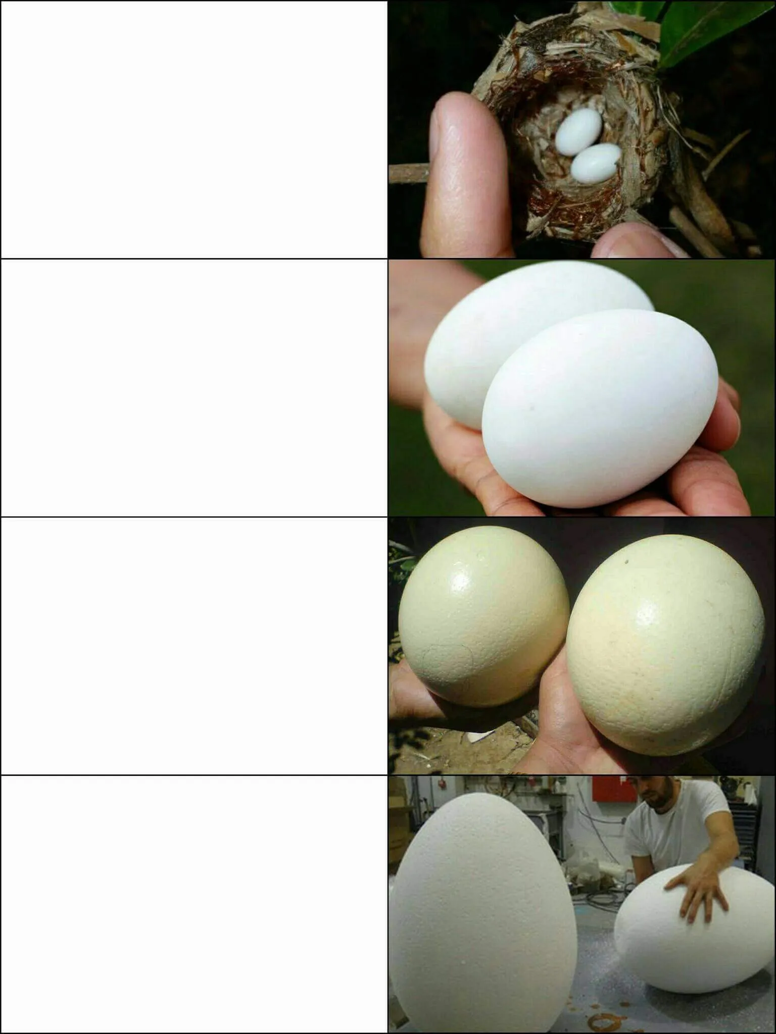 Plantilla de Huevos pequeños a huevos grandes