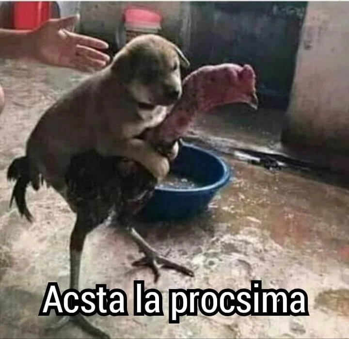 Plantilla de Perro subido en un gallo