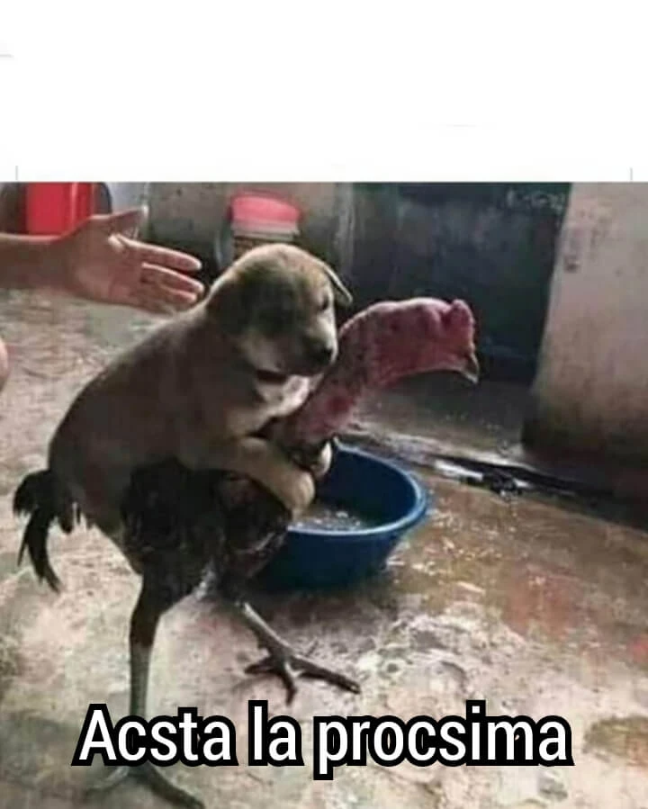 Plantilla de Perro subido en un gallo