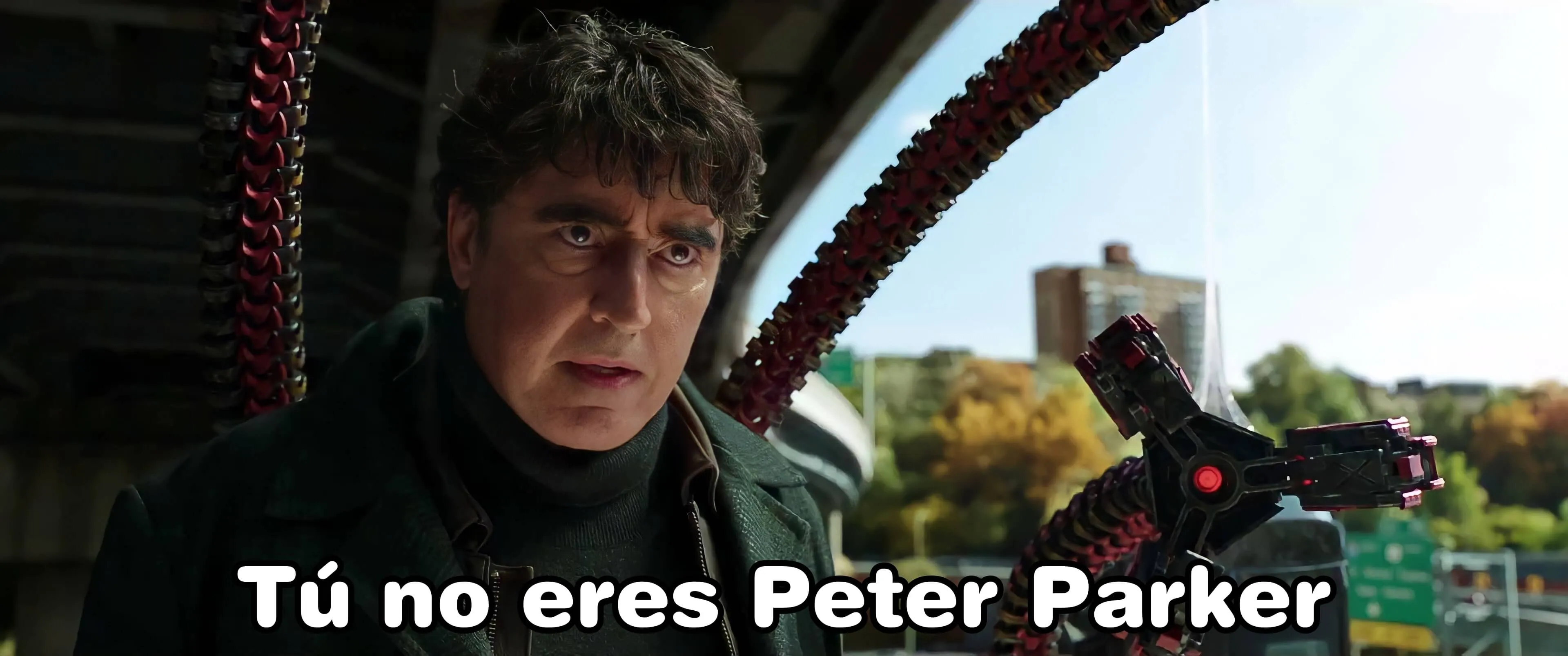 Plantilla de Tú no eres Peter Parker  | AdriSpider